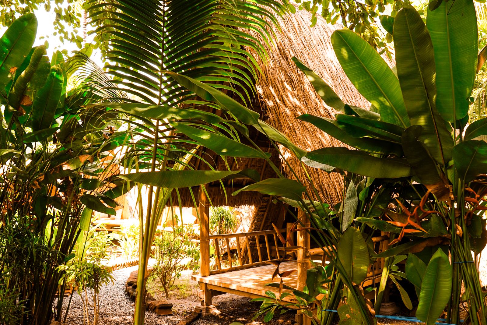 The garden path at SAME SAME